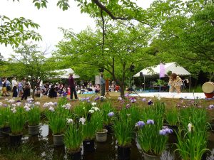 The Hanasyobu festival's stage and Hanasyobu flower from Akatsukakagura Japanese perfoming art
